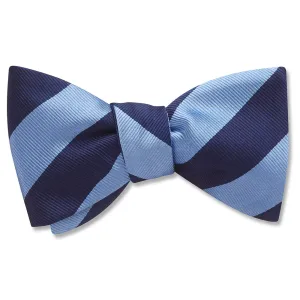 Academy Navy/Blue - Dog Bow Ties