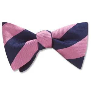 Academy Pink/Navy - bow ties
