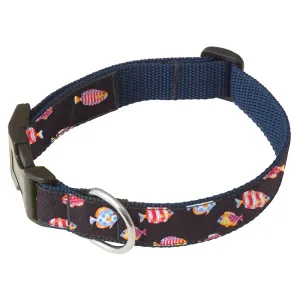 Acquario Onyx - Dog Collar