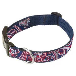 Alexandria - Dog Collar