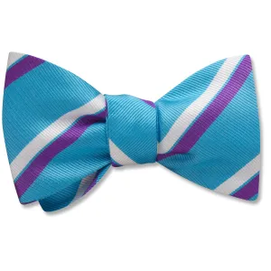 Aquinara - bow ties