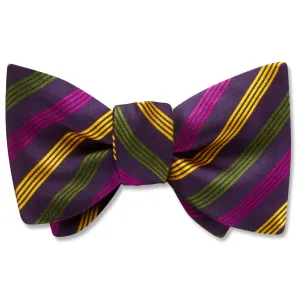 Bourbon Street - Dog Bow Ties