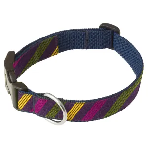 Bourbon Street - Dog Collar