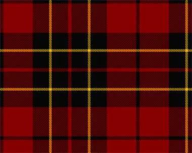 Brodie Modern Tartan Child's Bow Tie