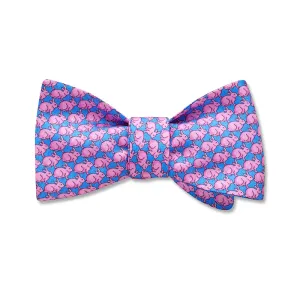 Cadbury - Kids' Bow Ties