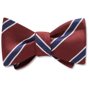 Cherwell - Dog Bow Ties