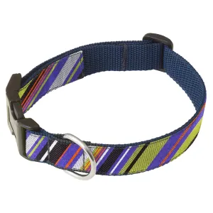 Claybank Creek - Dog Collar