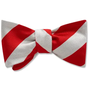 Collegiate Red and Silver - Dog Bow Ties