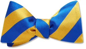 Colorado Springs - Dog Bow Ties