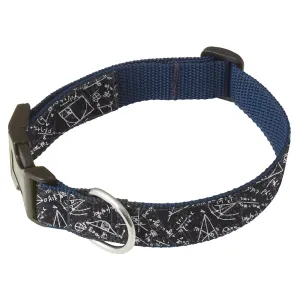 Computation - Dog Collar