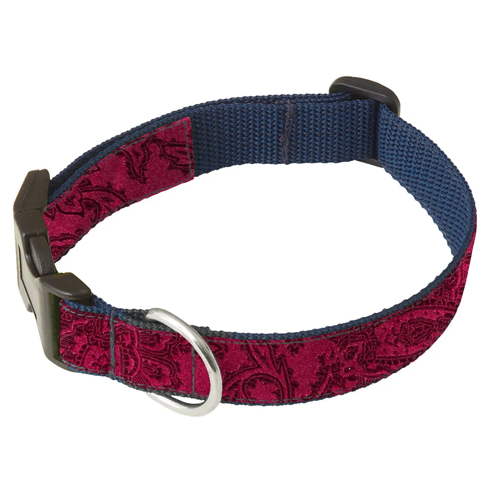 Copland - Dog Collar