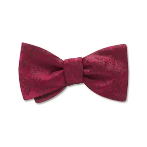 Copland - Kids' Bow Ties