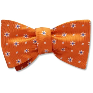 Daisy Springs Orange - bow ties