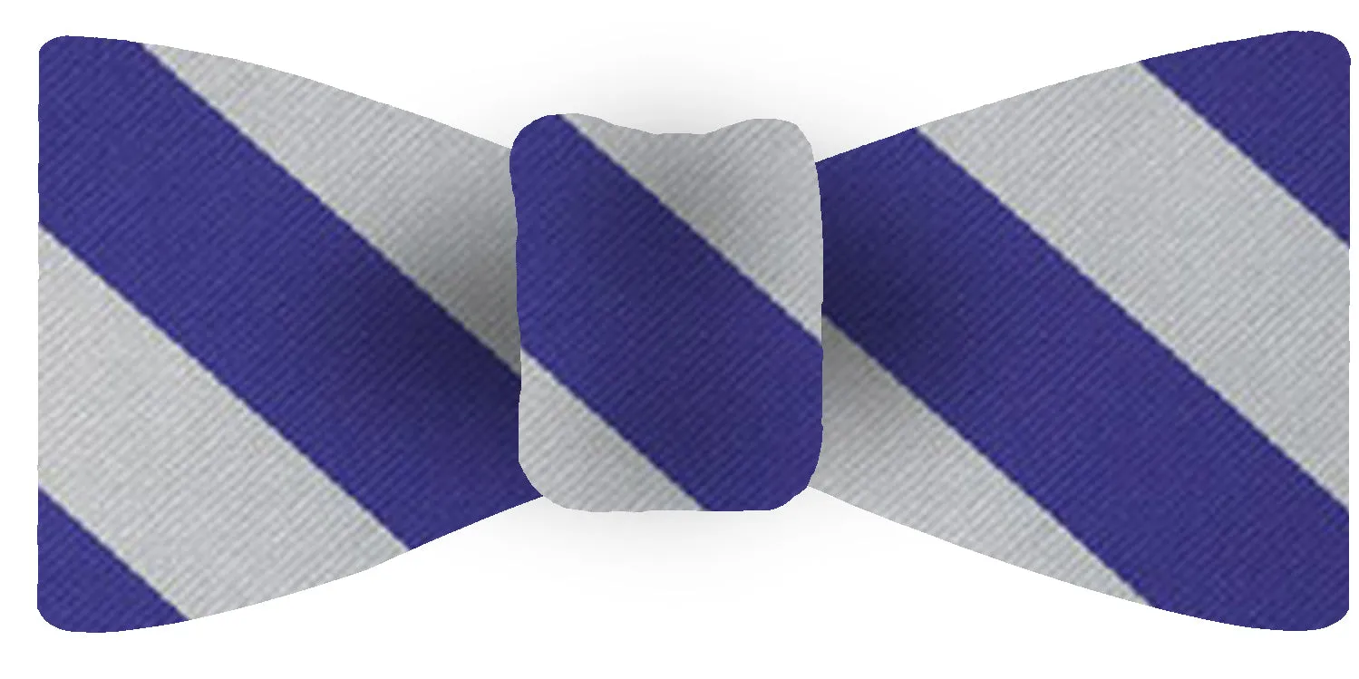 Duke Silk Bow Tie #ACOBTO-22 (Dark Blue & White)