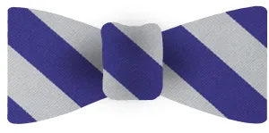 Duke Silk Bow Tie #ACOBTO-22 (Dark Blue & White)