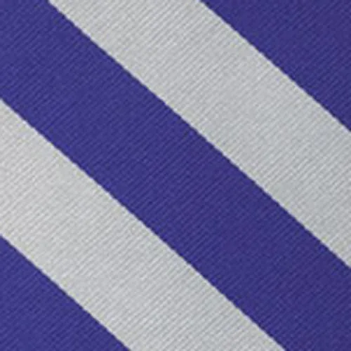 Duke Silk Bow Tie #ACOBTO-22 (Dark Blue & White)
