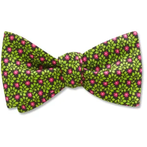 Filaree - bow ties