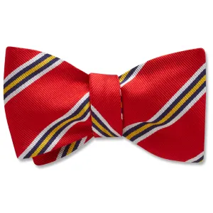 Flame River - Dog Bow Ties