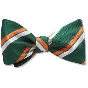 Forest Canyon - bow ties