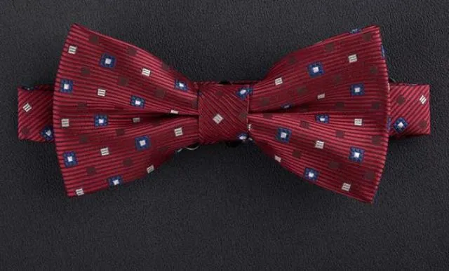 Formal Commercial Wedding Butterfly Cravat Bowtie