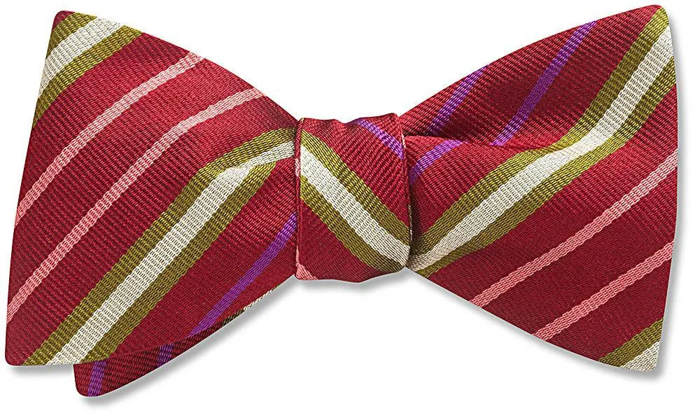 Framboise - Dog Bow Ties