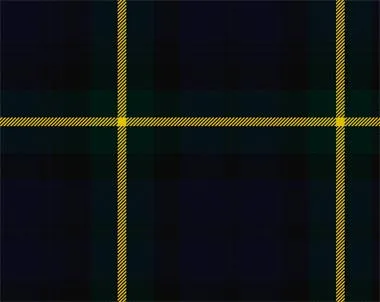 Gordon Modern Tartan Child's Bow Tie