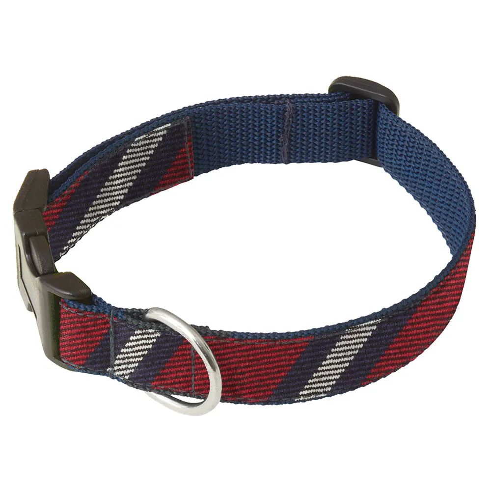 Jalisco - Dog Collar