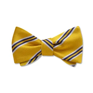 Klondike River - Kids' Bow Ties