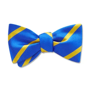 Kyiv - Kids' Bow Ties
