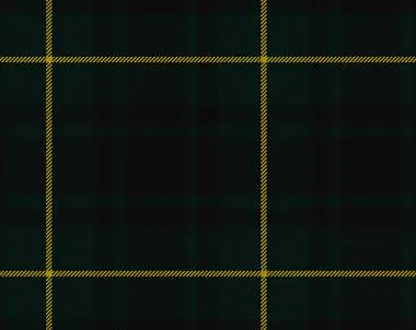 MacArthur Modern Tartan Child's Bow Tie