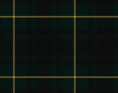 MacArthur Modern Tartan Cummerbund & Bow Tie Set