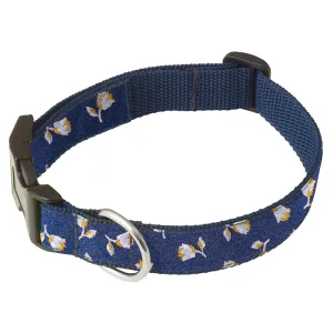 Margate - Dog Collar
