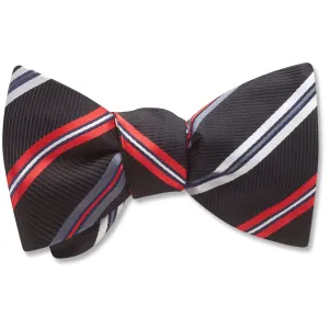 Neva River - bow ties