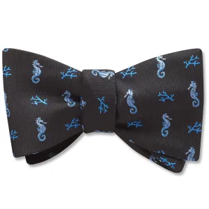 Ocean Rider - Dog Bow Ties