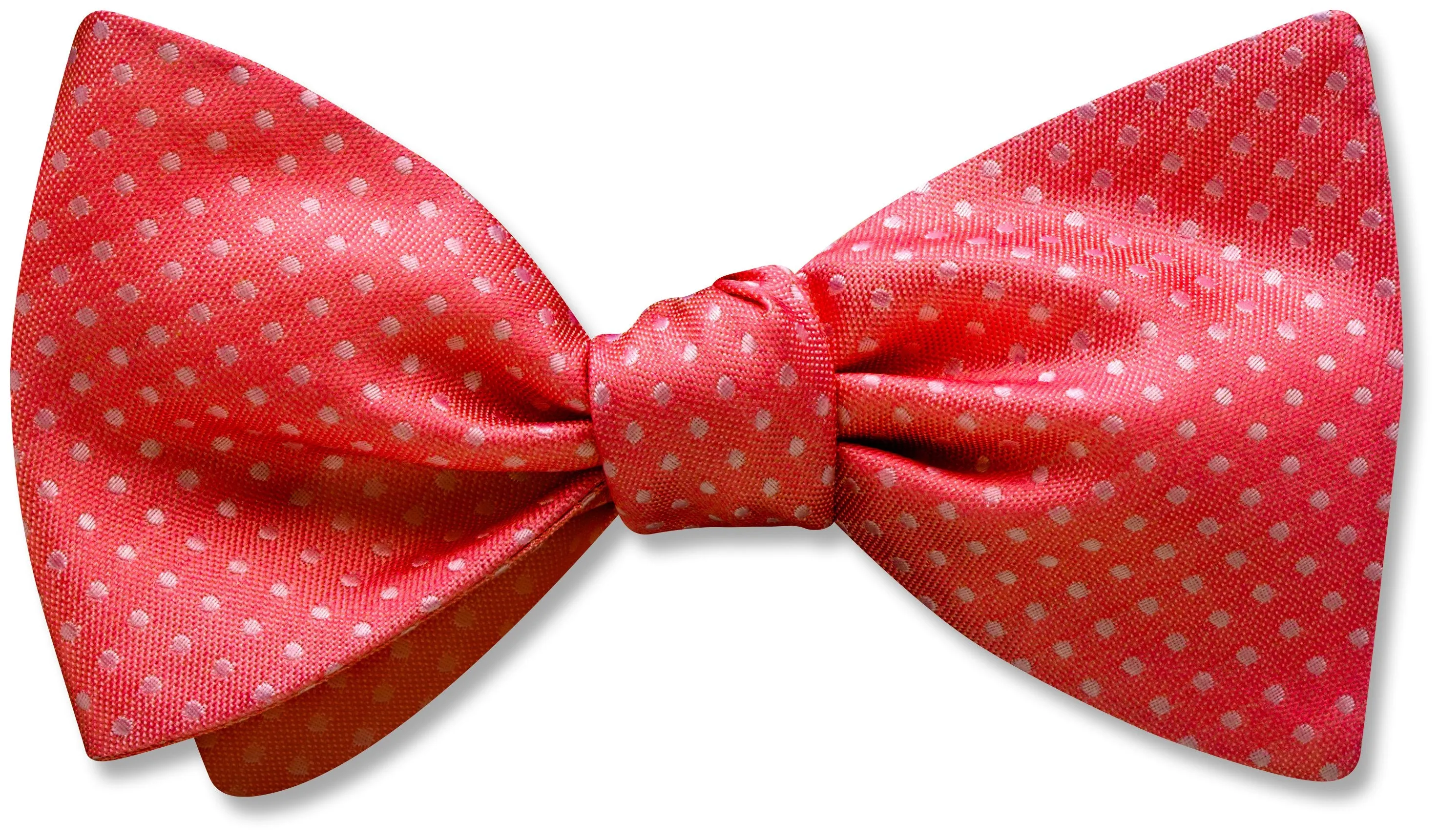 Oriel Persimmon - Dog Bow Ties