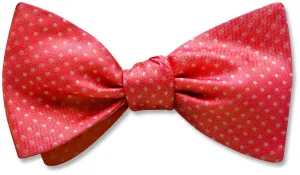 Oriel Persimmon - Dog Bow Ties