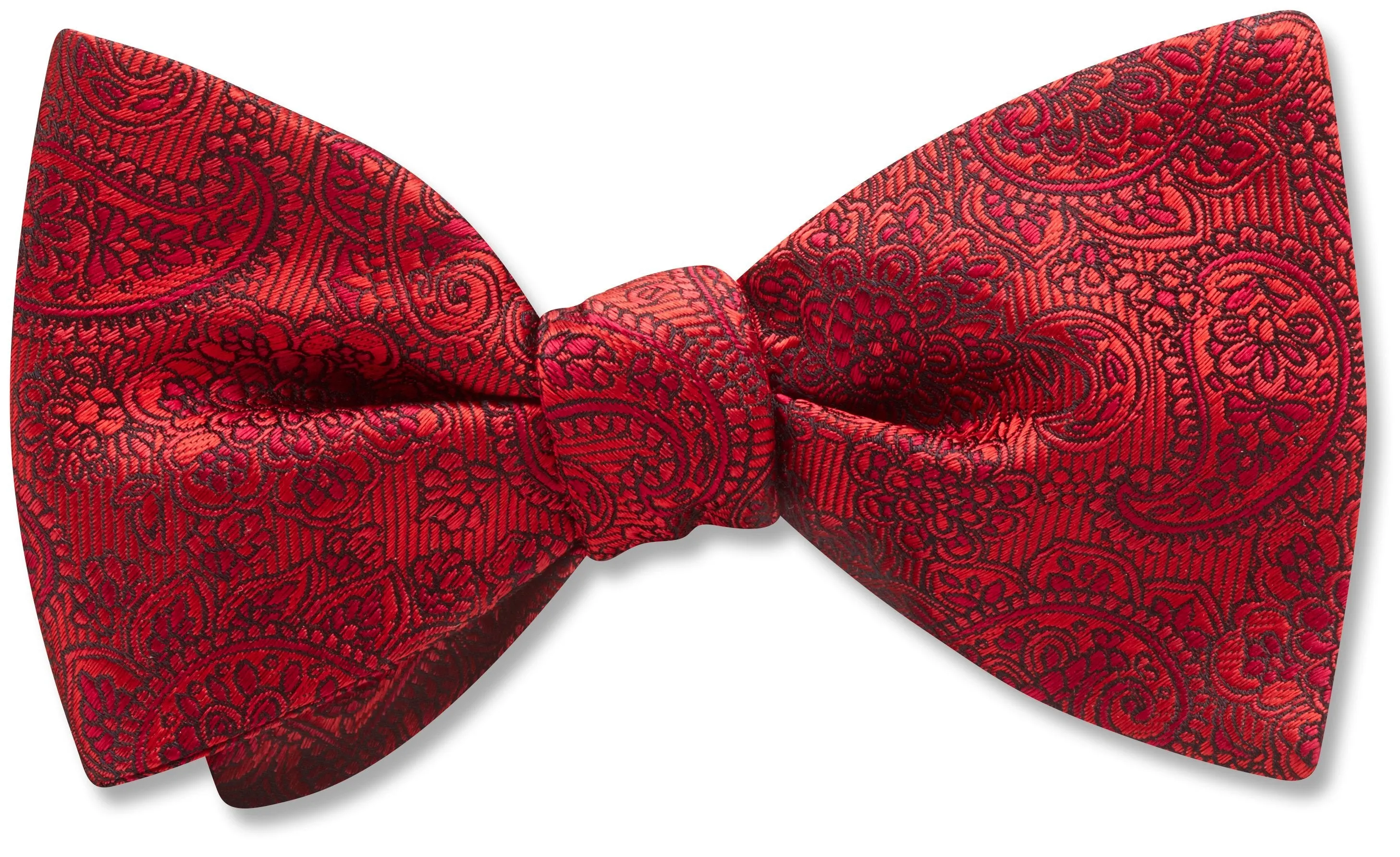 Pembroke Persimmon - Dog Bow Ties
