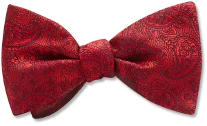Pembroke Persimmon - Dog Bow Ties