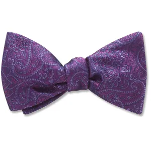 Pembroke Plum - Dog Bow Ties