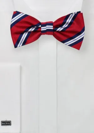 Preppy Red and Blue Repp&Regimental Striped Bowtie