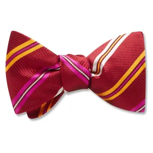 San Pedro - Dog Bow Ties
