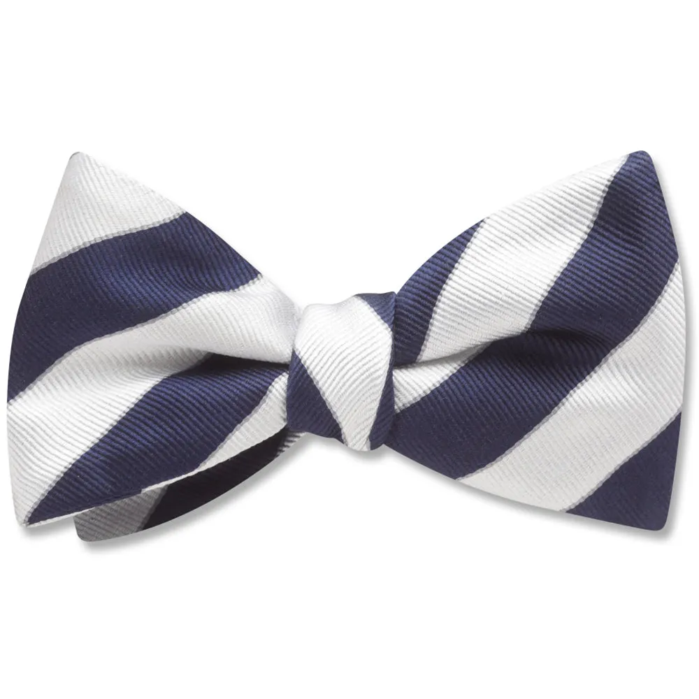Scholastic Blue/White - Dog Bow Ties