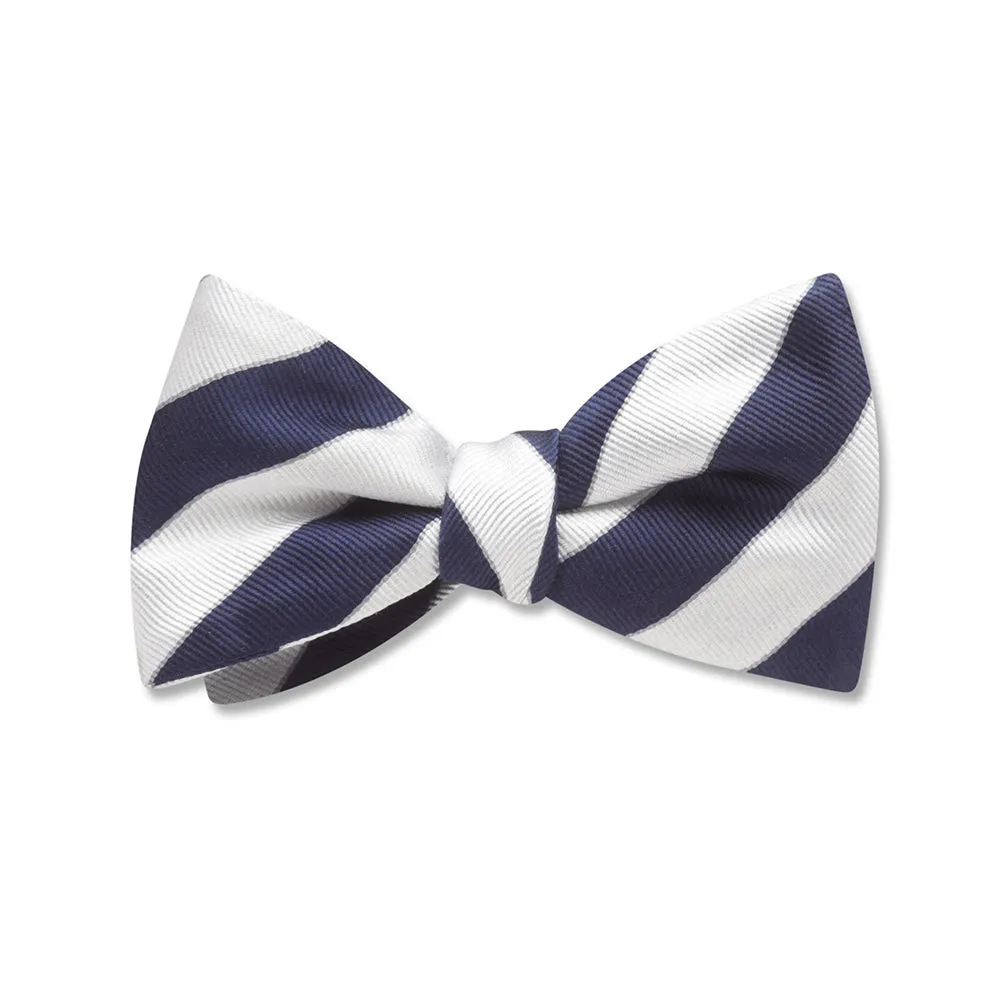 Scholastic Blue/White - Kids' Bow Ties