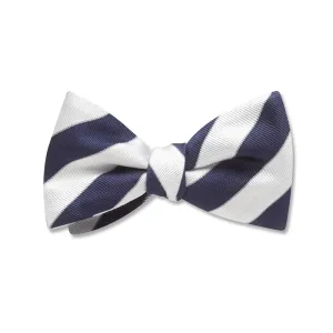 Scholastic Blue/White - Kids' Bow Ties