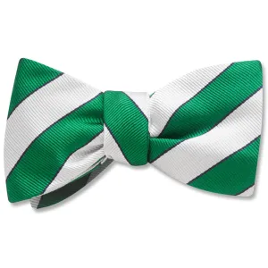 Scholastic Green/White - Dog Bow Ties
