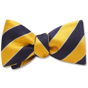 Scholastic Navy/Gold - bow ties