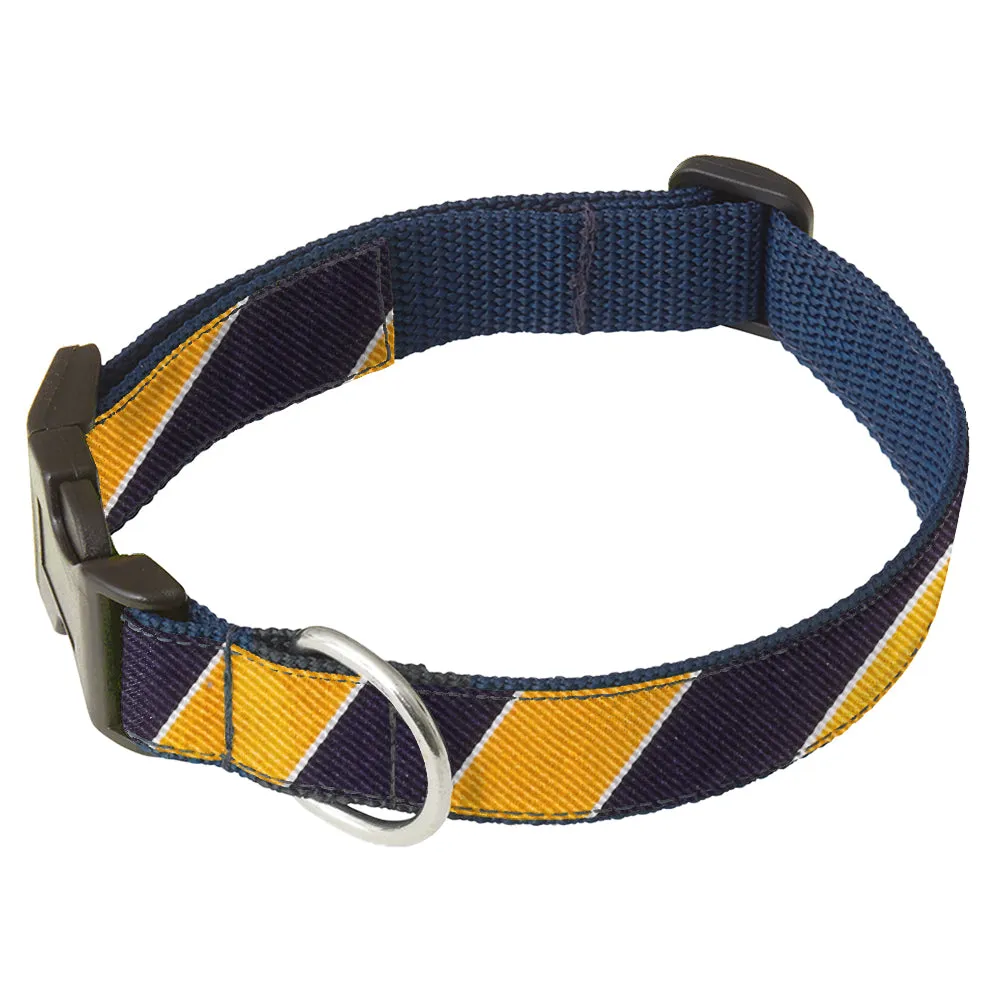 Scholastic Navy/Gold - Dog Collar