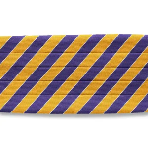 Scholastic Purple/Gold - Cummerbunds