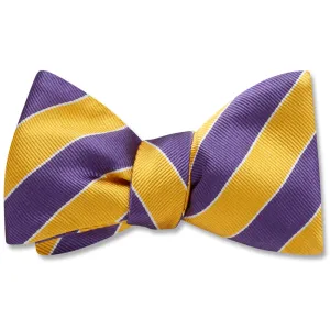 Scholastic Purple/Gold - Dog Bow Ties