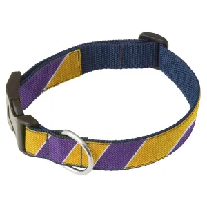 Scholastic Purple/Gold - Dog Collar